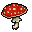 fly agaric
