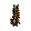 Centipede